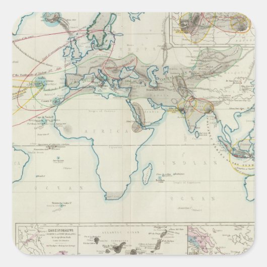 火山作用 スクエアシール (正面)