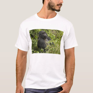 火山国立公園、 マウンテンゴリラ Tシャツ