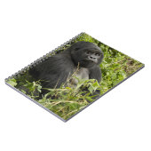火山国立公園、山ゴリラ ノートブック (左側)