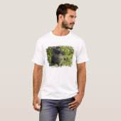 火山国立公園、山ゴリラ Tシャツ (正面フル)
