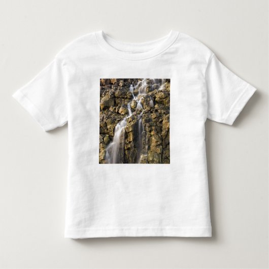 火山岩からのブライン秋が落下する トドラーTシャツ (正面)