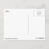 火山島ロボス ポストカード (裏面)