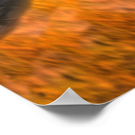 火山断面積 ポスター (角)