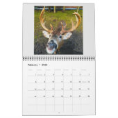 火島物語2025年カレンダー カレンダー (2月 2026)