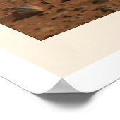 火星のローバースピリット最初の写真2004 ポスター (角)