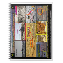 火星の動物の生活