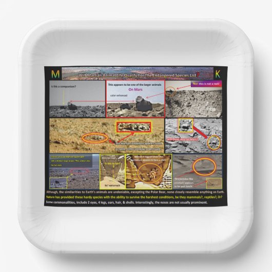 火星の動物生活 ペーパープレート (正面)