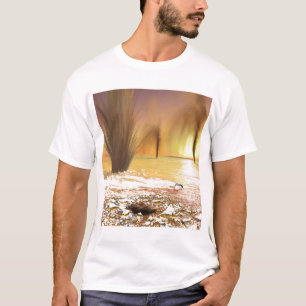 火星の南極冠氷 Tシャツ