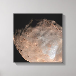 火星の月Phobos 2 キャンバスプリント