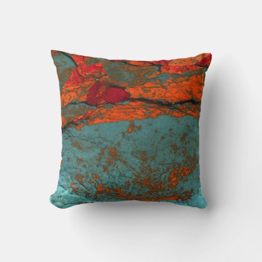 "火星の汚れ" JTGの芸術の枕 クッション (正面)