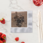 火星の自撮り好奇心レッド火星の風景 縁ありカクテルナプキン (インサイチュ)