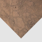 火星キュリオシティのセルフィー 赤い火星の風景 薄葉紙 (詳細)