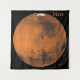 火星グローブby NASA タペストリー