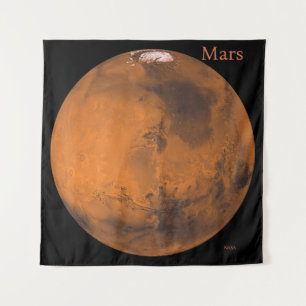 火星グローブby NASA タペストリー