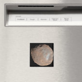 火星ムーンフォボス マグネット (インサイチュ (食洗機))