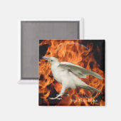 火星磁石 マグネット (正面/裏面)