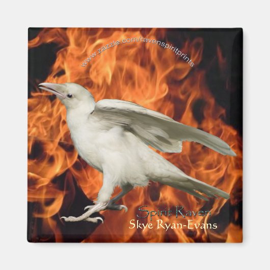 火星磁石 マグネット (正面)