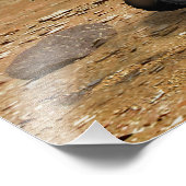 火星科学研究所は峡谷の近くを旅する フォトプリント            (角)