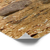 火星科学研究所は峡谷の近くを旅する ポスター (角)