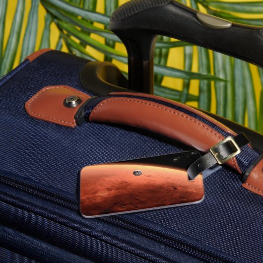 火星科学研究所接近火星。 ラゲッジタグ (正面インサイチュ3)