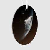 火星科学研究所空殻カプセル2 オーナメント (正面)