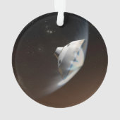 火星科学研究所空殻カプセル2 オーナメント (裏面)