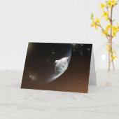 火星科学研究所空殻カプセル2 カード (黄色い花)