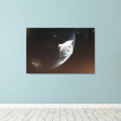 火星科学研究所空殻カプセル2 キャンバスプリント (インサイチュ (ウッドフロア))