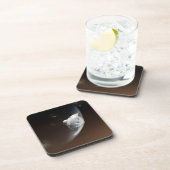 火星科学研究所空殻カプセル2 コースター (右側)