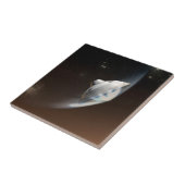 火星科学研究所空殻カプセル2 タイル (側面)