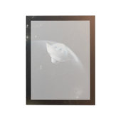 火星科学研究所空殻カプセル2 ノートパッド (回転)