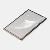 火星科学研究所空殻カプセル2 ポストイット (アングル)