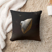 火星科学研究所空殻包 クッション (ブランケット)