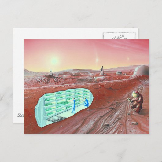 火星群 ポストカード (正面/裏面)