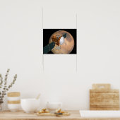 火星通信衛星 ポスター (キッチン)