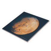 火星10 タイル (側面)