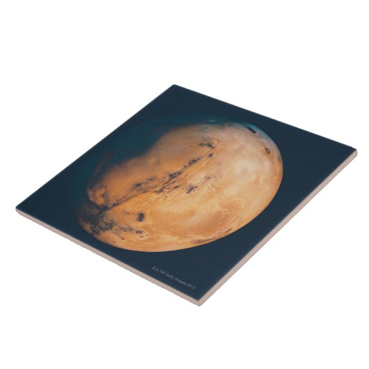 火星10 タイル (側面)