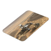 火星2020ローバー火星の表面。 マグネット (左側)