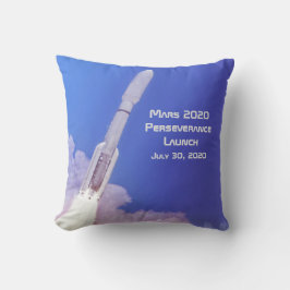 火星2020忍耐力の発表 クッション