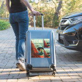 火星 オリンポス山 太陽系最高の火山 シール (スーツケースインサイチュ)