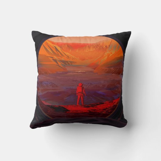 火星 クッション (裏面)