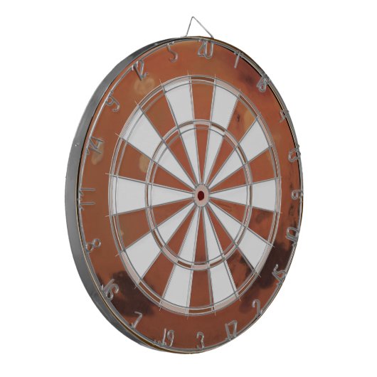 火星 ダーツボード (正面左)