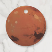 火星 フェイバータグ (裏面)