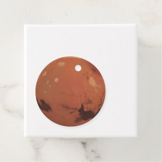 火星 フェイバータグ (インサイチュ)