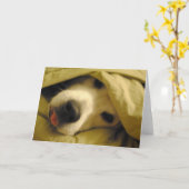 火曜日まで寝ている カード (黄色い花)