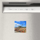 火気湾,タスマニア,オーストラリア磁石 マグネット (インサイチュ (食洗機))