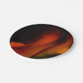 火波 ペーパープレート (アングル)