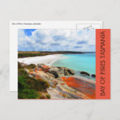 火災湾のビーチ ポストカード (正面/裏面)