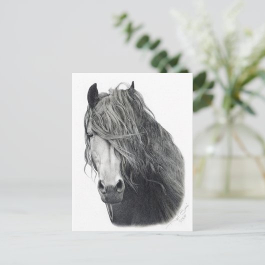 火災 ポストカード (スタンド正面)