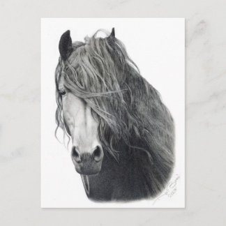 火災 ポストカード